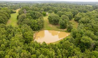 553 Hh Hwy, Alton, MO 65606