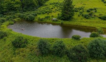 5249 State Route 21, Alfred, NY 14803