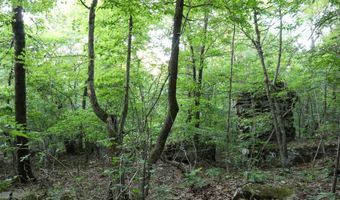 Whiskey Creek Lane, Batesville, AR 72501