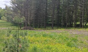 0 W. Cobble Hill Rd, Barre, VT 05641