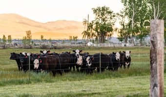 320 Mottsville, Gardnerville, NV 89460