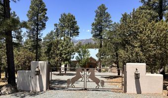 106 Donkey Ct, Alto, NM 88312