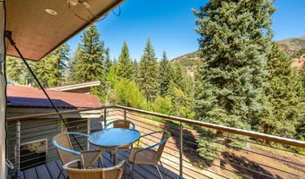 768 Kings Lake Rd, Basalt, CO 81621