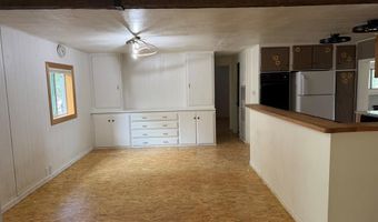 5480 Challis Creek Rd, Challis, ID 83226