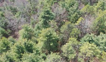 385 ELK CREEK Rd, Aaronsburg, PA 16820