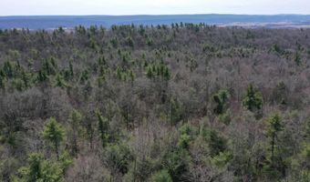 385 ELK CREEK Rd, Aaronsburg, PA 16820