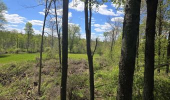 15252 27 Mile Rd, Albion, MI 49224