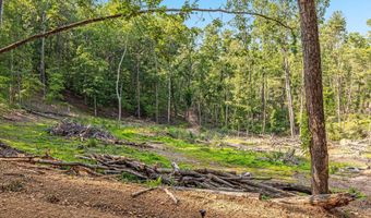 417 MALLARD Dr, Basye, VA 22810