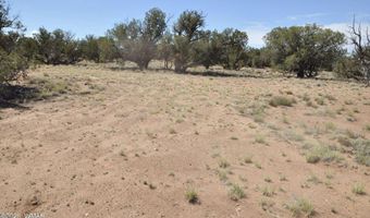 19 C & D County Rd N9033, Concho, AZ 85924