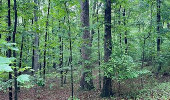 CARSONS WAY, Amissville, VA 20106