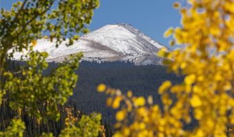 1139 BOREAS PASS Rd, Breckenridge, CO 80424