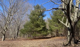 L21.1 Alder Pond Road, Andes, NY 13740
