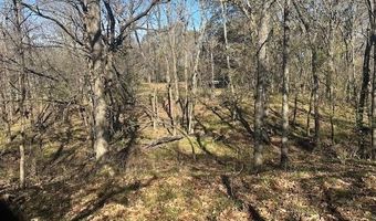 Hickory Hill Road, Atoka, OK 74525