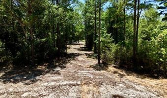 1 97 +/- Acres Airport Rd Lot 4, Andalusia, AL 36421
