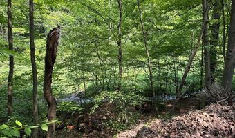 930 Osman Rd, Alum Bank, PA 15521