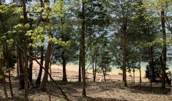509 Bonne Vista Dr, Baneberry, TN 37890