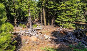 8735 Bering Rd, Alturas, CA 96101
