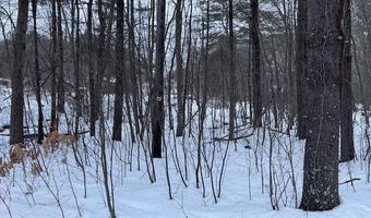 Wallum Lake Road, Burrillville, RI 02859