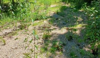 0000000 Easement, Annapolis, MO 63620