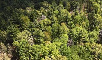 Chicago Avenue lot 3, Arkdale, WI 54613
