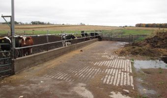 103179 Holton Rd, Abbotsford, WI 54405