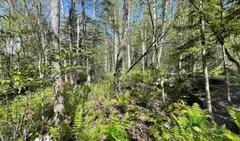 Map 202-Lot 39 Parker Road, Bethlehem, NH 03574