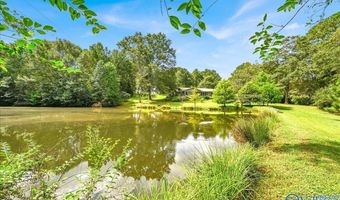4975 Section Line Rd, Albertville, AL 35950
