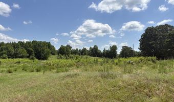 Beauty Hill Rd lot 4, Bethel Springs, TN 38315