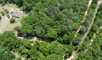 1091 Pine Grove Rd, Batesburg Leesville, SC 29006