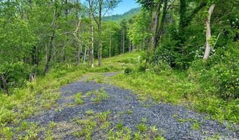 Pumpkin Patch Road, Bakersville, NC 28705