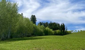 40 Acres ROBINSON Ln, Bedford, WY 83112