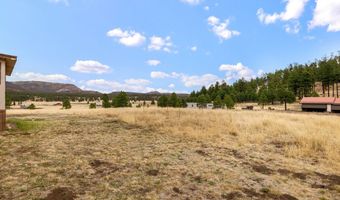 4 County Road 2110, Alpine, AZ 85920