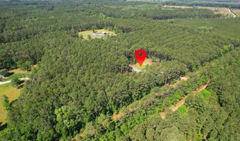 8144 Autumn Mist Ln, Adams Run, SC 29426
