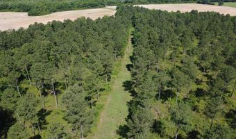 0 S County Road 33, Ashford, AL 36312
