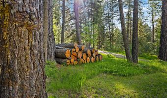 131 McCaffery Lookout Trl, Bigfork, MT 59911