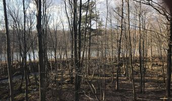 Lot 119 Mountain Rd, Albrightsville, PA 18210