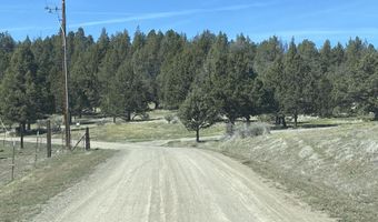 Mountain Quail Lane lot 17 18, Alturas, CA 96101