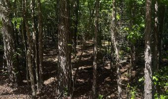 23 Andorra Cir, Hot Springs Village, AR 71909