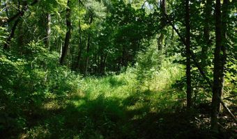 98 63 AC Pointer Rd, Alton, VA 24520