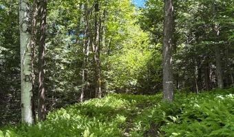 1585 Chateauguay Rd, Barnard, VT 05031