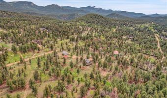 64 Elk Horn Ct, Bailey, CO 80421