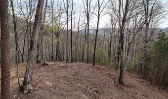 Bayside Boulevard lot 48, Bean Station, TN 37708