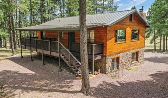 24 County Rd 2079, Alpine, AZ 85920