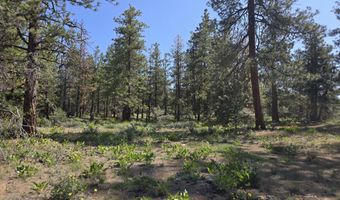 Meadow Lark Drive Lot 12, Bonanza, OR 97623