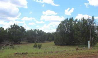 29 Co Rd 3199, Vernon, AZ 85940