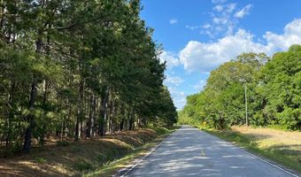 272 Church Camp Rd, Bishopville, SC 29010