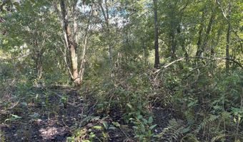 0 ALTURAS BABSON PARK CUT OFF Rd, Bartow, FL 33830