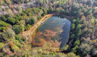 0 County Road 127, Banks, AL 36005