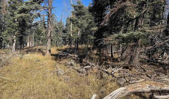 Rainbow Overlook lot 1227, Angel Fire, NM 87710