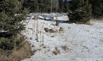 El Camino Real Lot 1386, Angel Fire, NM 87710
